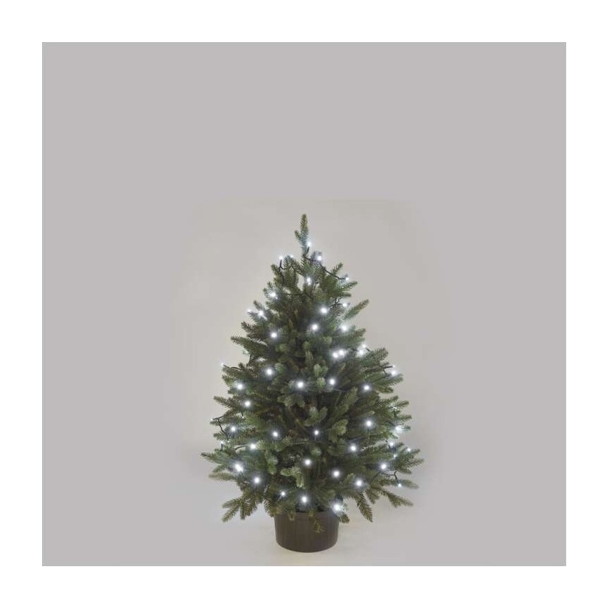 Guirlande lumineuse LED d'extérieur 80 LED / 13 m IP44, blanc froid