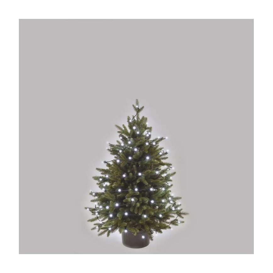 Guirlande lumineuse LED d'extérieur 80 LED/13 m IP44, blanc froid