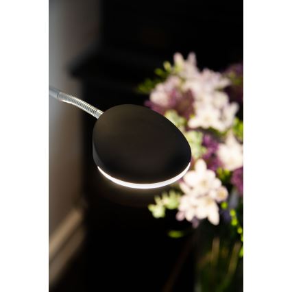 Halo Design 716067 - lampadaire LED à intensité variable VEGAS LED/20W/230V + LED/5W noir/chrome brillant