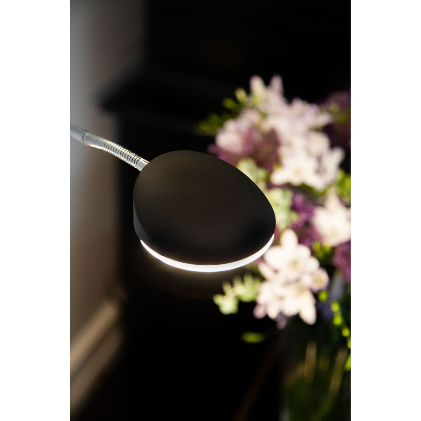Halo Design 716067 - lampadaire LED à intensité variable VEGAS LED/20W/230V + LED/5W noir/chrome brillant