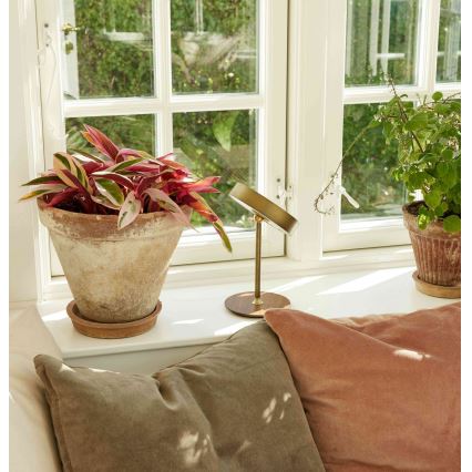 Halo Design 745784 - Lampe de table rechargeable LED à intensité variable ON THE MOVE LED/2,5W/4000 mAh laiton/bois