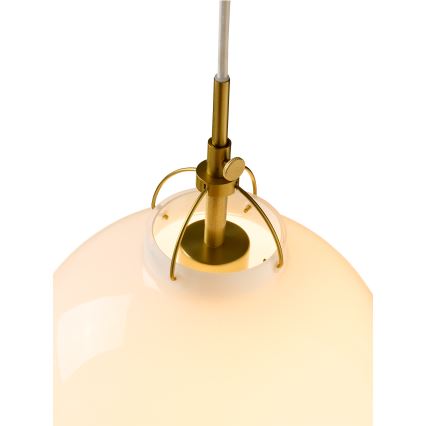 Halo Design 748068 - Suspension sur câble TOSCANA 1xE27/40W/230V Ø 36 cm crème/laiton