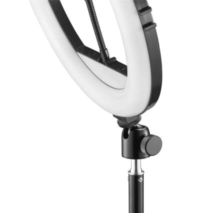 Hama - Ring light à intensité variable avec un trépied LED/10W/5V d. 30 cm + Télécommande