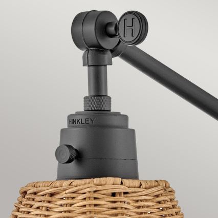 Hinkley - Applique murale spot ARTI 1xE27/60W/230V noir/marron