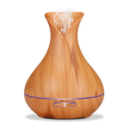 Humidificateur et ioniseur d