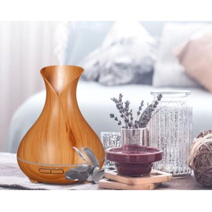 Humidificateur et ioniseur d