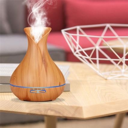 Humidificateur et ioniseur d