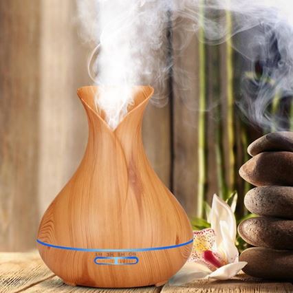 Humidificateur et ioniseur d