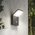 Ideal Lux - Luminaire LED extérieur avec détecteur STYLE LED/9W/230V 4000K CRI 90 IP54 anthracite