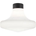 Ideal Lux - Plafonnier d'extérieur CLIO 1xE27/42W/230V IP44 noir