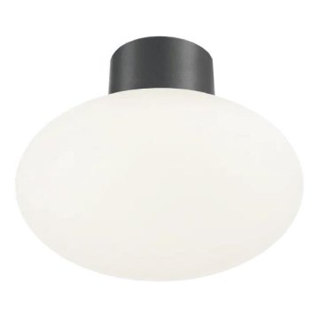 Ideal Lux - Plafonnier extérieur CLIO 1xE27/42W/230V IP44 anthracite