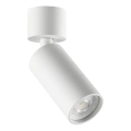 Ideal Lux - Spot LED DYNAMITE 1xGU10/7W/230V CRI 90 blanc