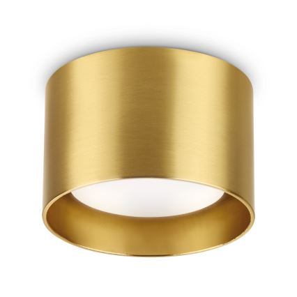 Ideal Lux - Spot LED SPIKE 1xGX53/9W/230V doré