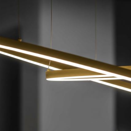 Ideal Lux - suspension LED sur câble ORACLE SLIM LED/37W/230V 3000K IRC 90 diam. 70 cm dorée