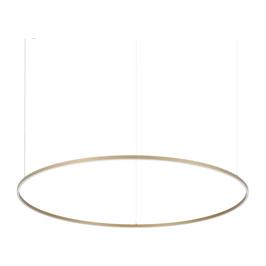 Ideal Lux - Suspension LED sur câble ORACLE SLIM LED 81 W / 230 V 3000 K IRC 90 Ø 150 cm dorée