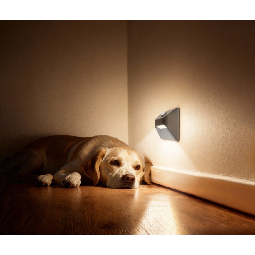 Immax 08309L - Luminaire d'escalier LED rechargeable avec détecteur de mouvement et capteur crépusculaire STEP LIGHT LED/0,3W/3,7V 2200 mAh IP53 gris