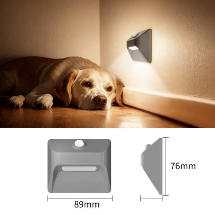 Immax 08309L - Luminaire d'escalier LED rechargeable avec détecteur de mouvement et capteur crépusculaire STEP LIGHT LED/0,3W/3,7V 2200 mAh IP53 gris