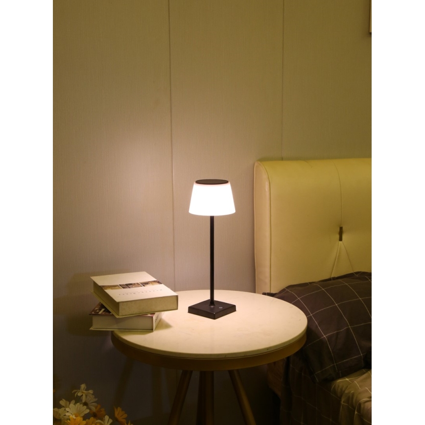 Lampe solaire extérieure à intensité variable avec détecteur LED/4W/5V IP44