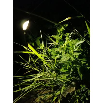 Lampe solaire avec détecteur LED/1W/3,7V 6000K IP65 1500 mAh