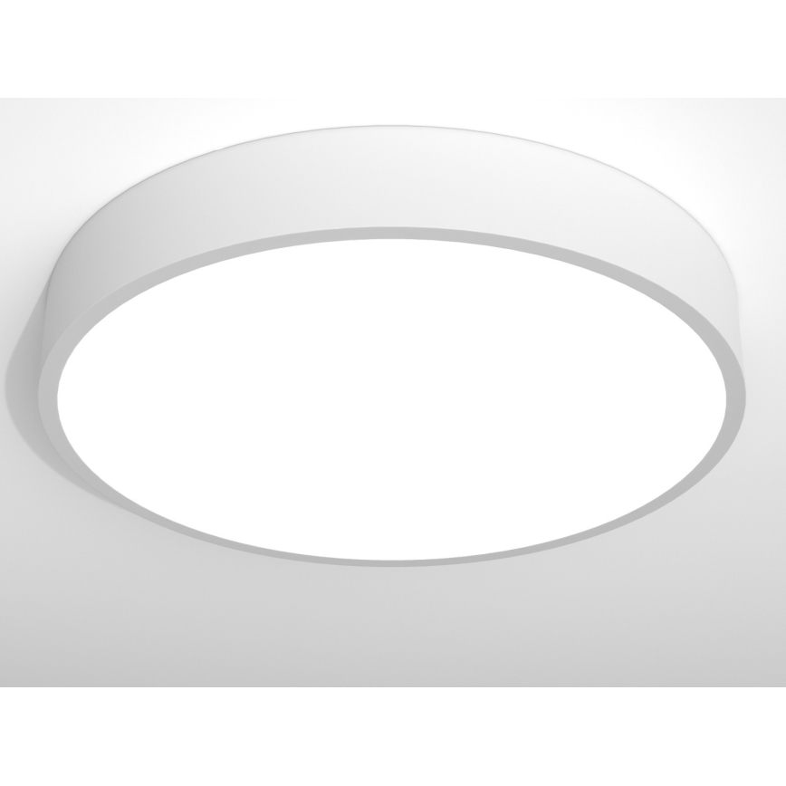 Immax NEO RONDATE - Plafonnier LED avec télécommande LED/65W/230V