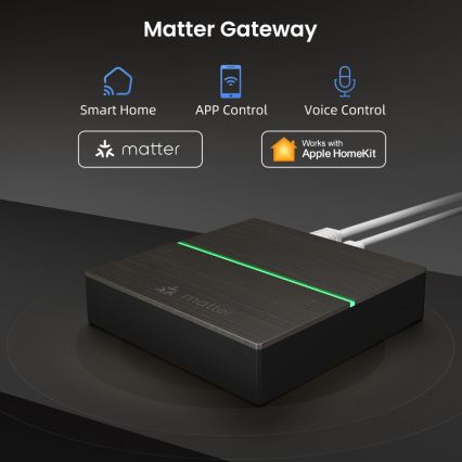 Immax NEO 07117-5 - Passerelle MATTER intelligente Zigbee 3.0 230 V Wi‑Fi