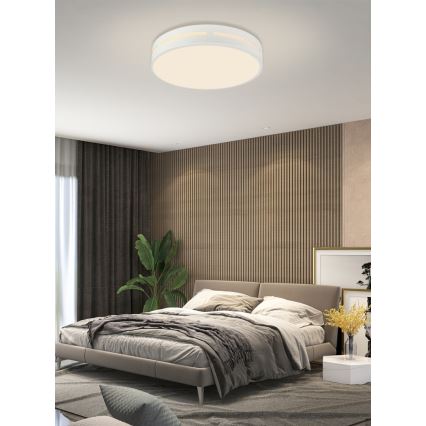 Immax NEO 07153-W30 - Plafonnier à intensité variable LED NEO LITE PERFECTO 24W/230V Wi-Fi Tuya + Télécommande