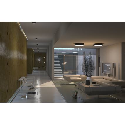 Immax NEO 07200L - Plafonnier à intensité variable RONDATE LED/18W/230V 3000-6000K d. 25 cm noir Tuya + télécommande