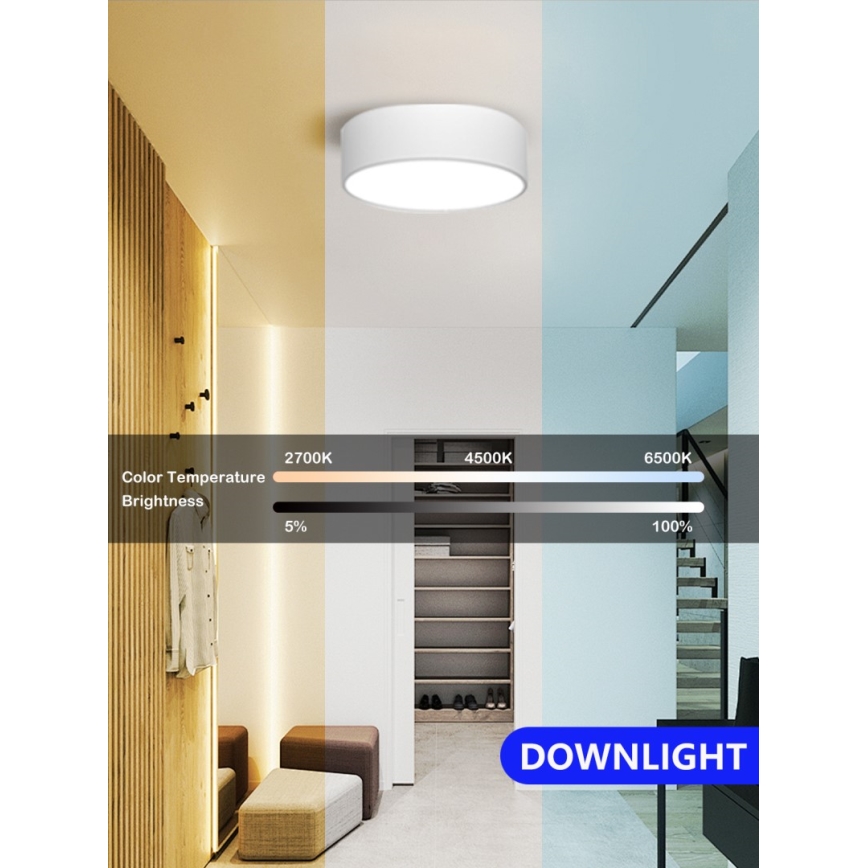 Immax NEO 07204L - Plafonnier à intensité variable RONDATE LED/18W/230V 3000-6000K blanc Tuya + télécommande