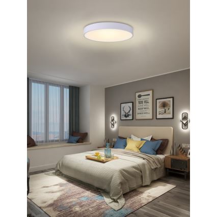 Immax NEO 07206L - Plafonnier à intensité variable LED RONDATE LED/53W/230V blanc Tuya + télécommande