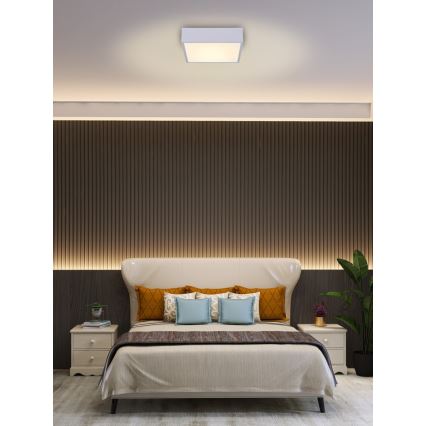 Immax NEO 07238L - Plafonnier à intensité variable LED CANTO LED/22W/230V blanc Tuya + télécommande