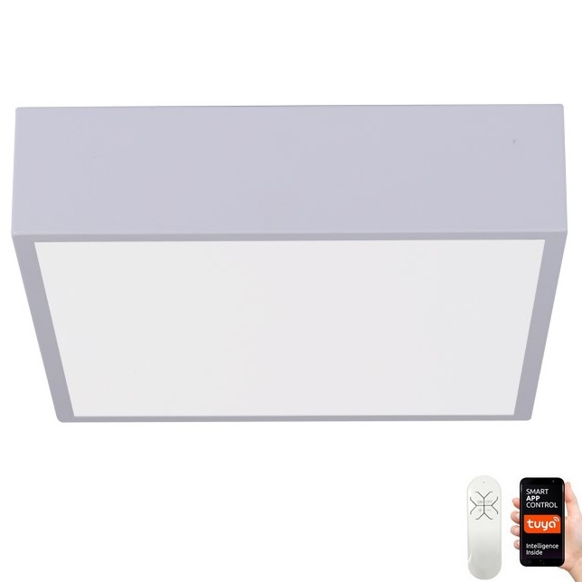 Immax NEO 07238L - Plafonnier à intensité variable LED CANTO LED/22W/230V blanc Tuya + télécommande