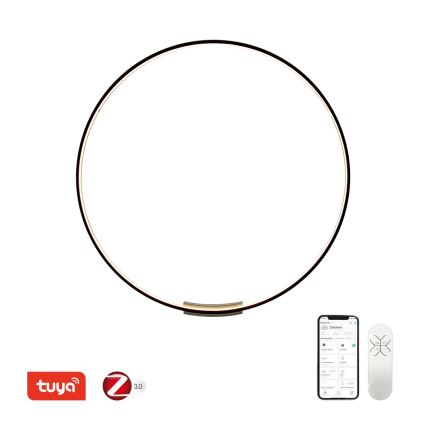 Immax NEO 07245-120 - Applique murale à intensité variable FINO LED/70W/230V 120 cm Tuya + télécommande