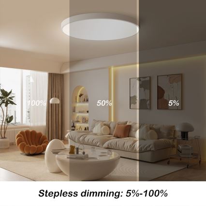 Immax NEO 07253L - Plafonnier à intensité variable NEO LITE SEMPLICI LED/60W/230V 3000-6000K Wi-Fi Tuya blanc + télécommande
