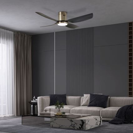Immax NEO 07282L - Ventilateur de plafond dimmable PURE LED+CCT 24W/230V 3000/4000/6000K Wi-Fi Tuya + télécommande