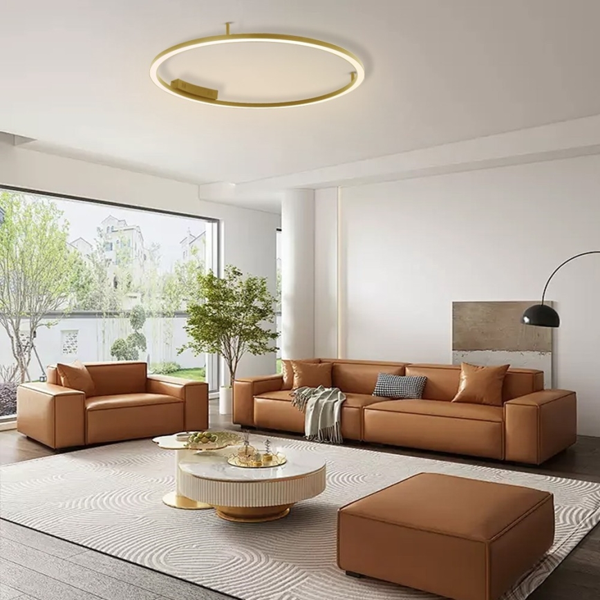 Immax NEO 07291-80G - LED+CCT Plafonnier dimmable FINO LED/55W/230V 2700-6500K Tuya Ø 80 cm + télécommande