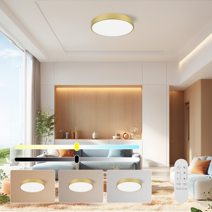 Immax NEO 07292L - LED+CCT Plafonnier à intensité variable SEMPLICI LED/36W/230V 2700-6500K Ø 40 cm + télécommande incluse
