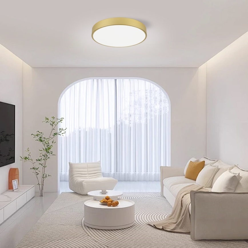 Immax NEO 07292L - LED+CCT Plafonnier à intensité variable SEMPLICI LED/36W/230V 2700-6500K Ø 40 cm + télécommande incluse