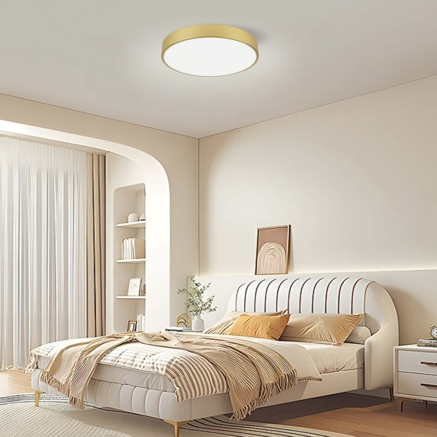Immax NEO 07292L - LED+CCT Plafonnier à intensité variable SEMPLICI LED/36W/230V 2700-6500K Ø 40 cm + télécommande incluse