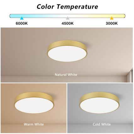 Immax NEO 07292L - LED+CCT Plafonnier à intensité variable SEMPLICI LED/36W/230V 2700-6500K Ø 40 cm + télécommande incluse