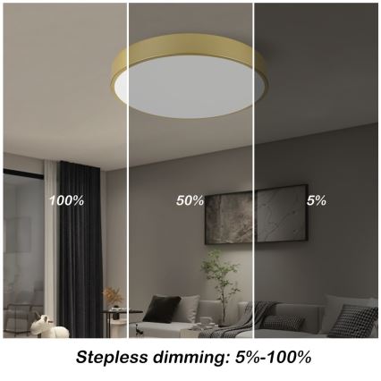 Immax NEO 07292L - LED+CCT Plafonnier à intensité variable SEMPLICI LED/36W/230V 2700-6500K Ø 40 cm + télécommande incluse