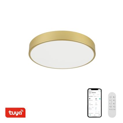 Immax NEO 07292L - LED+CCT Plafonnier à intensité variable SEMPLICI LED/36W/230V 2700-6500K Ø 40 cm + télécommande incluse