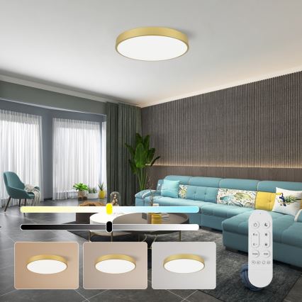 Immax NEO 07293L - Plafonnier LED+CCT dimmable SEMPLICI LED/60W/230V 2700-6500K Ø 60 cm + télécommande