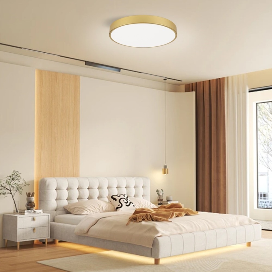 Immax NEO 07293L - Plafonnier LED+CCT dimmable SEMPLICI LED/60W/230V 2700-6500K Ø 60 cm + télécommande