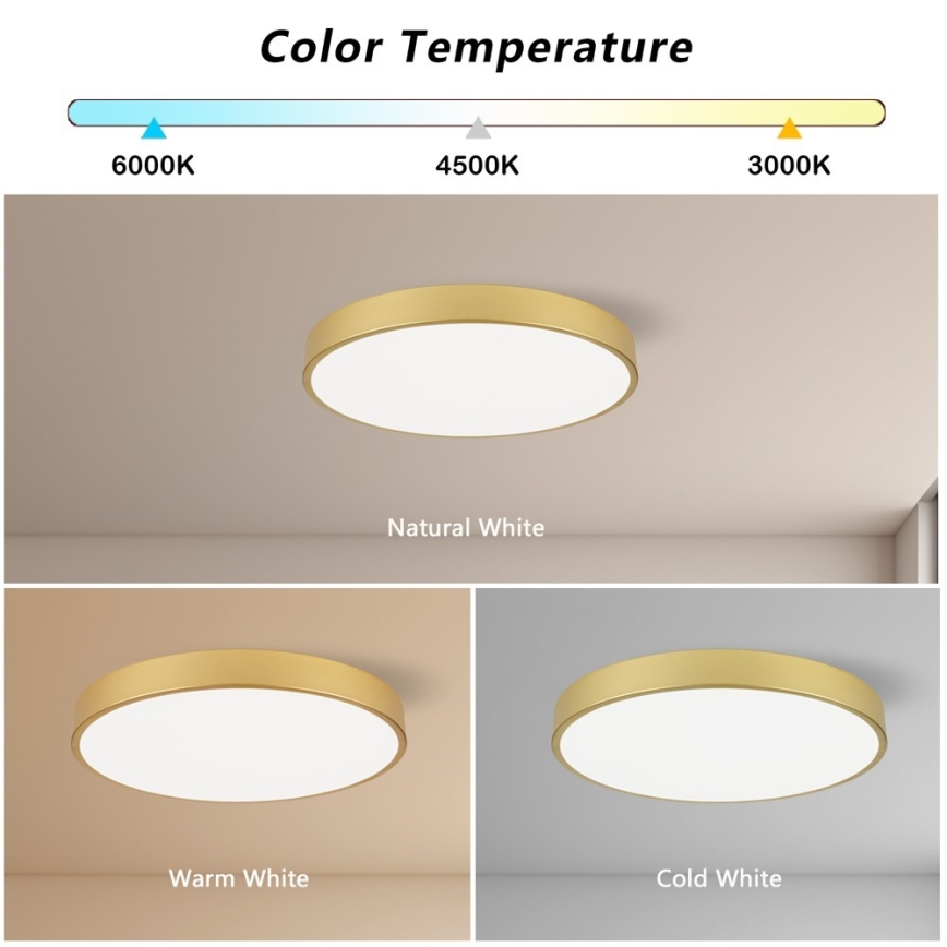 Immax NEO 07293L - Plafonnier LED+CCT dimmable SEMPLICI LED/60W/230V 2700-6500K Ø 60 cm + télécommande