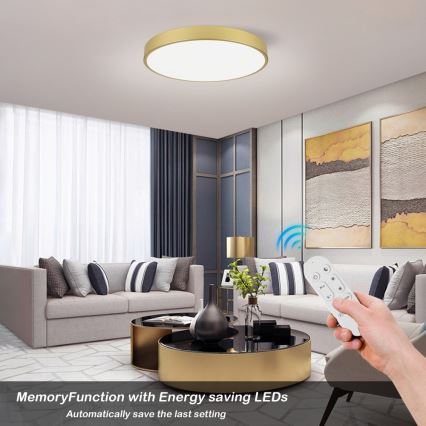 Immax NEO 07293L - Plafonnier LED+CCT dimmable SEMPLICI LED/60W/230V 2700-6500K Ø 60 cm + télécommande