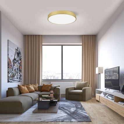 Immax NEO 07293L - Plafonnier LED+CCT dimmable SEMPLICI LED/60W/230V 2700-6500K Ø 60 cm + télécommande