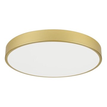 Immax NEO 07293L - Plafonnier LED+CCT dimmable SEMPLICI LED/60W/230V 2700-6500K Ø 60 cm + télécommande