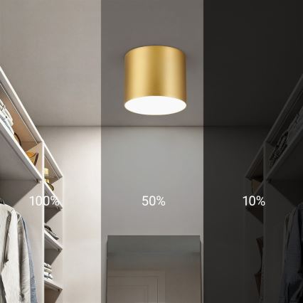 Immax NEO 07317L - Plafonnier LED dimmable RONDATE LED/18W/230V Ø 11,5 cm Wi-Fi Tuya doré
