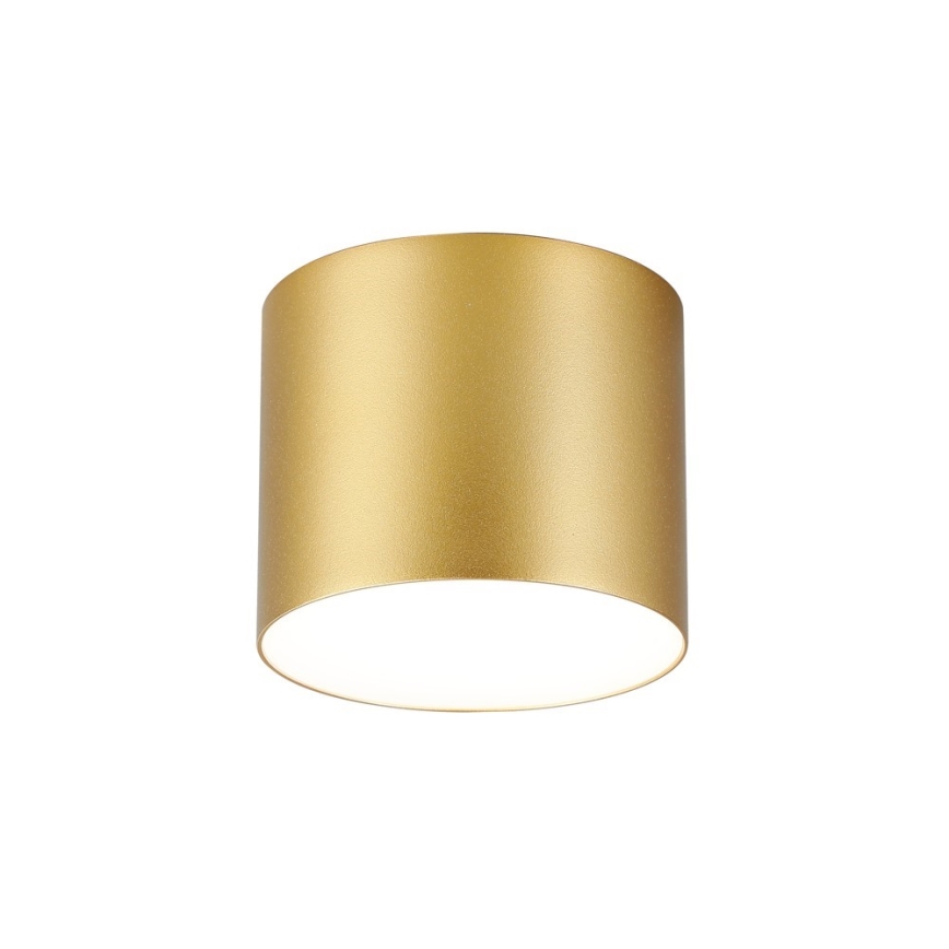 Immax NEO 07317L - Plafonnier LED dimmable RONDATE LED/18W/230V Ø 11,5 cm Wi-Fi Tuya doré