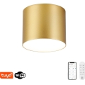 Immax NEO 07317L - Plafonnier LED dimmable RONDATE LED/18W/230V Ø 11,5 cm Wi-Fi Tuya doré